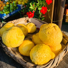 Load image into Gallery viewer, Casa Amalfi Positano Single Gift Set Lemon Basil &amp; Mandarin