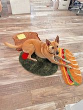Load image into Gallery viewer, Sandwich Rug