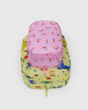 Load image into Gallery viewer, Baggu -Packing Cube Set Painted Prairie