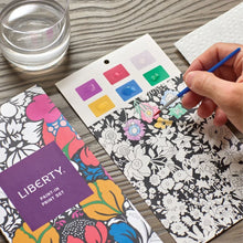 Load image into Gallery viewer, Liberty Paint - In Print Set