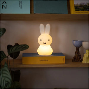 Miffy Shines Light