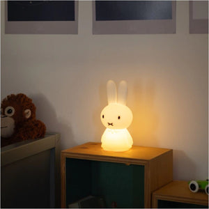 Miffy Shines Light