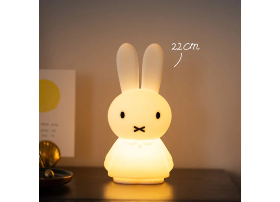 Miffy Shines Light