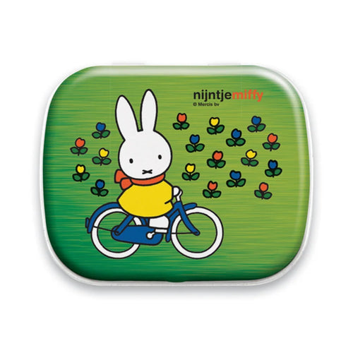 Mini Tin Miffy Bike