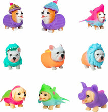 Load image into Gallery viewer, Rave Party Puppies