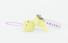 Load image into Gallery viewer, SMISKI Capsule Strap Accesory Figure Series 3