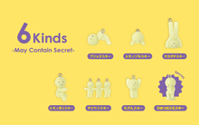 Load image into Gallery viewer, SMISKI Capsule Strap Accesory Figure Series 3