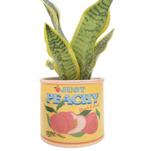 Load image into Gallery viewer, Peaches Can Planter