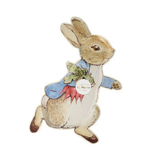 Load image into Gallery viewer, Peter Rabbit  Die Cut Plate (Pack 12)