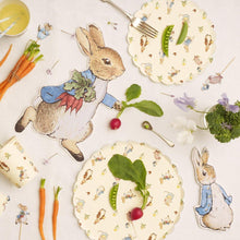 Load image into Gallery viewer, Peter Rabbit  Die Cut Plate (Pack 12)