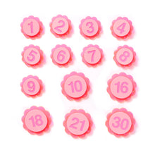 Load image into Gallery viewer, Birthday Badge Neon Pink #5