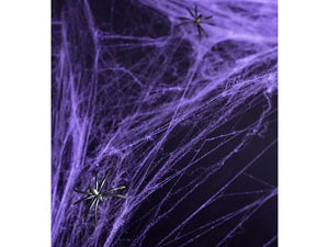Violet Spider Web