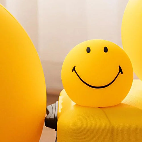 Bundle Of Light Smiley
